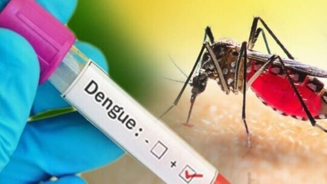 रेवाड़ी में डेंगू मरीजों का आंकड़ा 200 पार