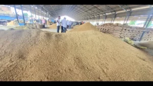 बाढ़, एल निनो प्रभाव का हरियाणा में चावल उत्पाद पर प्रभाव असंभावित है।