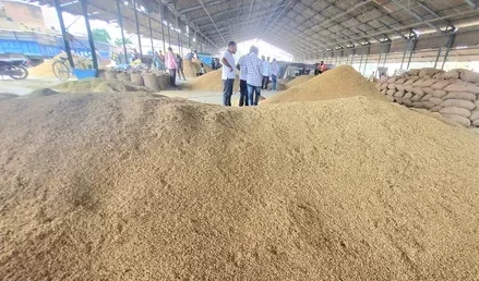 बाढ़, एल निनो प्रभाव का हरियाणा में चावल उत्पाद पर प्रभाव असंभावित है।